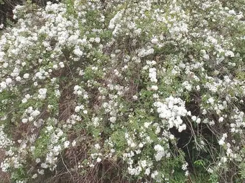 Terreno en Venta de 700,0 m2