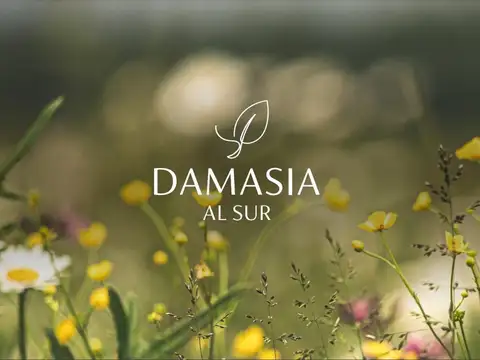 Venta de lote en Barrio Damasia al Sur