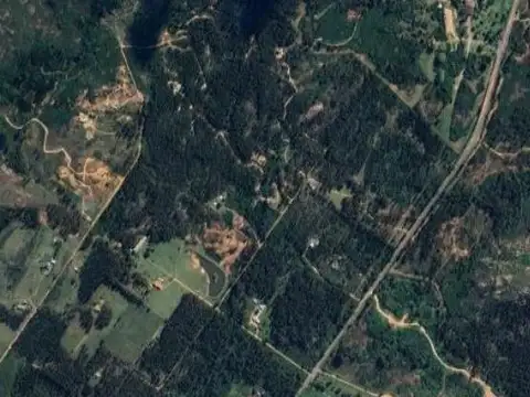 Cerro Pan de Azúcar