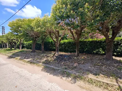 Casaquinta en venta en Virrey del Pino, sobre 2 lotes de terreno.