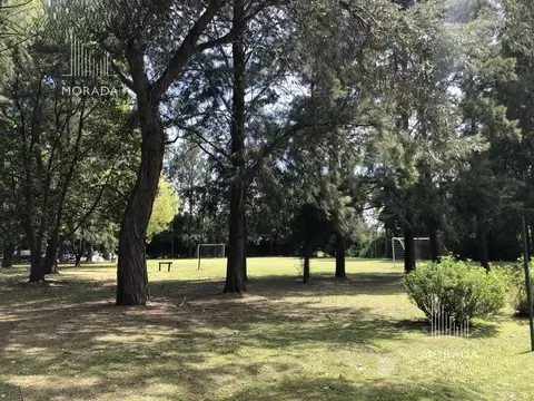 Terreno en Venta en Pavón, USD 49.000