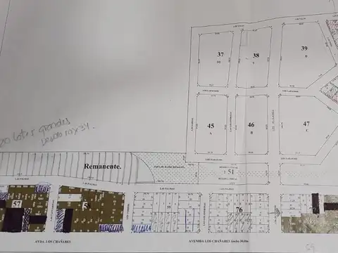 Los Naranjos al 1100