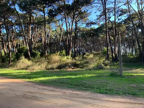 Terreno en Venta de 6000,0 m2