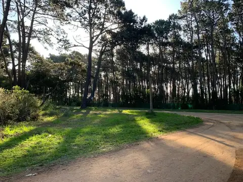 Lote - Venta - Uruguay, Punta del Este