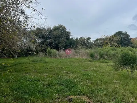 Lote en Venta Caamaño, Pilar,  G.B.A. Zona Norte