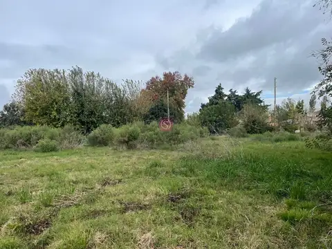 Terreno en Venta de 5600,0 m2