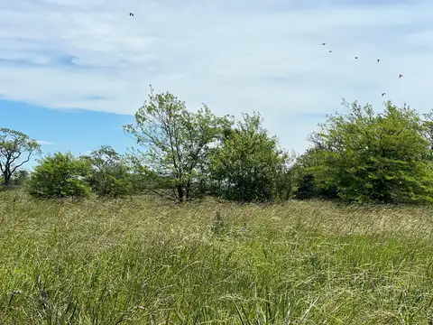 A 1000 metros de Ruta 47