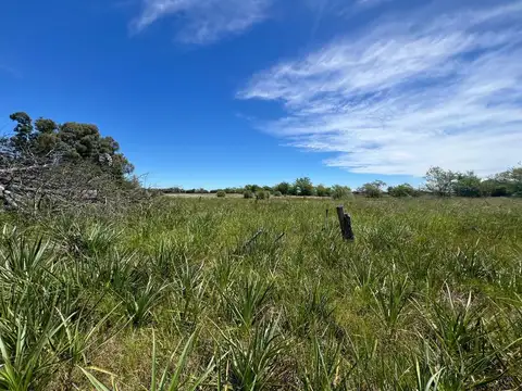 Chacra en venta Navarro 3,15 ha a 5 km del centro de Navarro