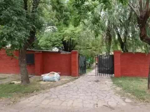 belgrano al 1500
