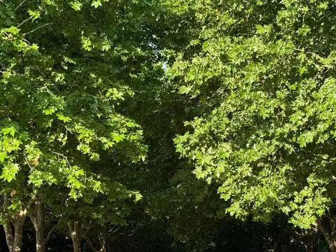 Exclusivo Lote en La Colina Golf y Polo - Entorno Natural, Vida de Club y Proyecto Listo