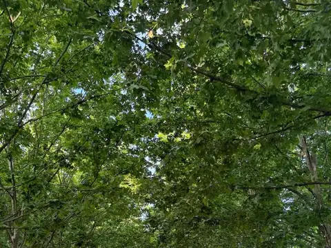 La Colina Golf y Polo