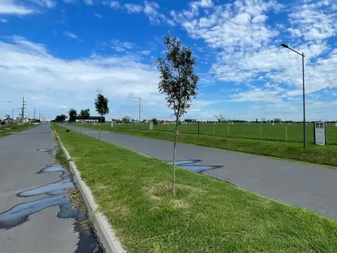 Terreno en Venta 15  mts Frente