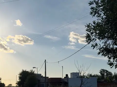 El Ombu