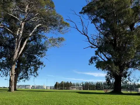 Terreno en Venta de 770,0 m2