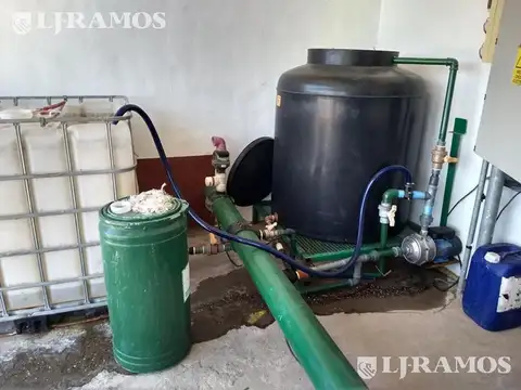 Finca 80 ha con viñedos. San Rafael, Mendoza