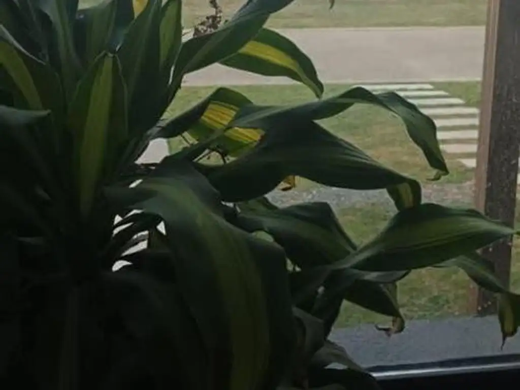 Casa en Alquiler barrio Sebastian Gaboto - Foto 21