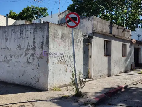 Coucheiro 100