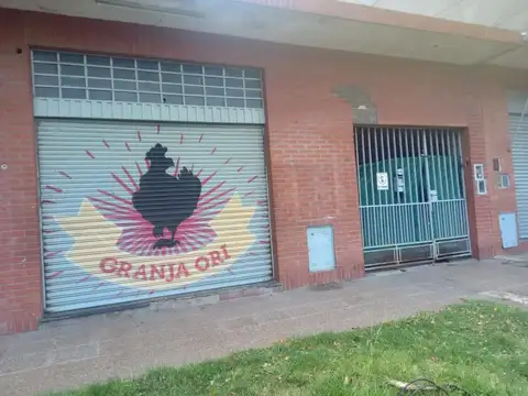 Propiedad con Local y 2 Casas sobre Lote de 500 m²