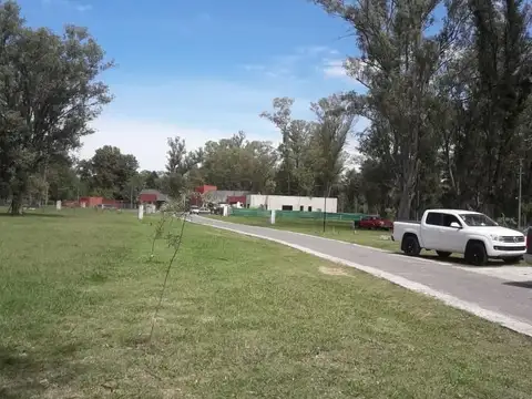 LA PISTA 100