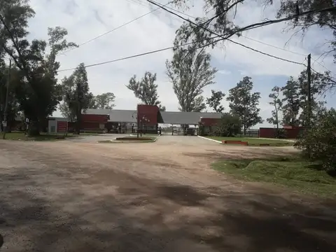 LA PISTA 100