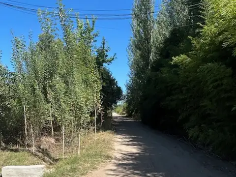 Terreno en Venta en Ruta 205 Kilometro 57, USD 32.000