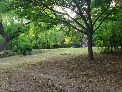 Consultar dirección