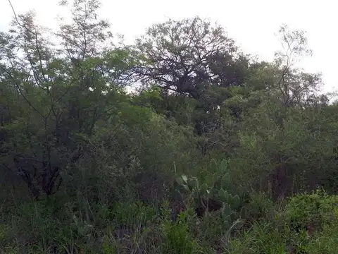 02632 - Las Gramillas