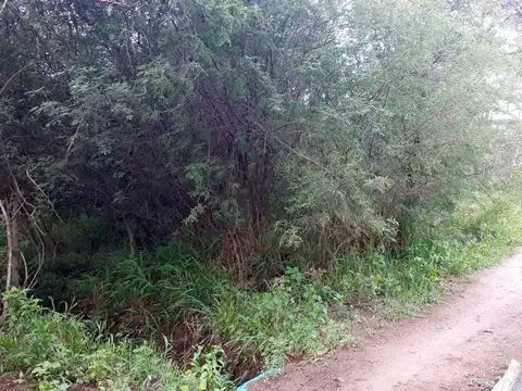 Inmobiliaria Aloja – Vende Lotes de 2.000 a 5.000 m2 en Las Gramillas, San Marcos Sierras