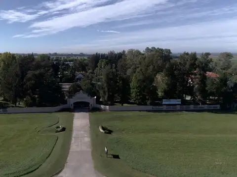 ¡Sumérgete en el apasionante mundo de La Federala! Terreno de 1200 alambrado !