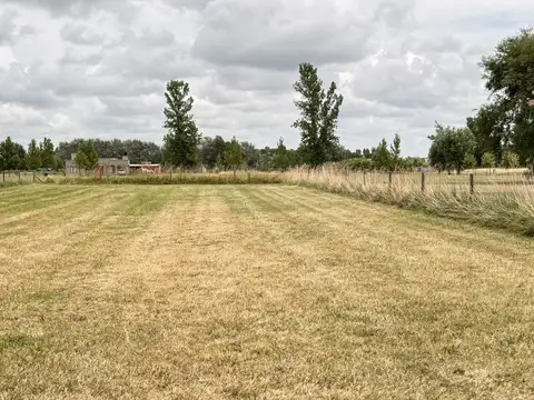¡Sumérgete en el apasionante mundo de La Federala! Terreno de 1200 alambrado !