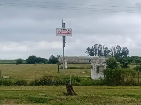 Terreno - Zona Industrial