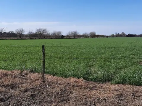 Terreno en Venta de 33093,0 m2