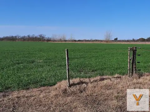 Terreno en venta - 33.093Mts2 - Chivilcoy