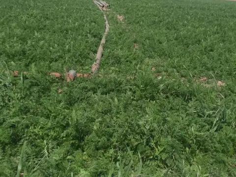 Campo en Venta de 7  ha