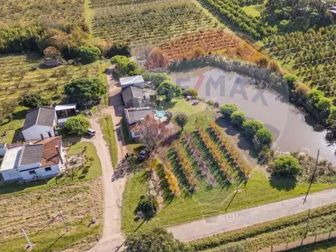 VENTA CHACRA EN MELILLA 4,7 HAS CNO LOS PIRINCHOS