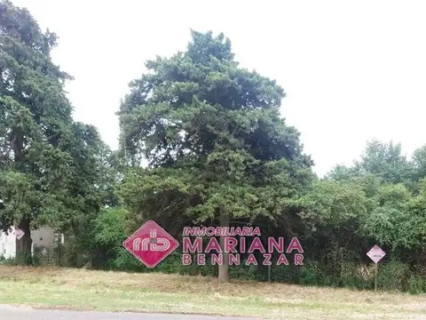 Camino Villa Jardin 1000