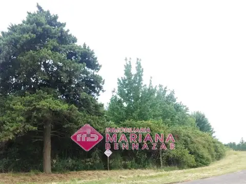 Terreno Ideal Casa Quinta - San Pedro