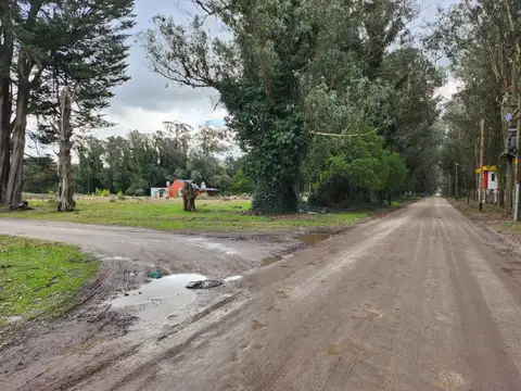 Terreno en Venta 20  mts Frente