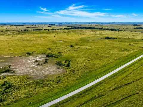 CAMPO EN VENTA.RUTA 36.KM 100. MAGDALENA.LA PLATA