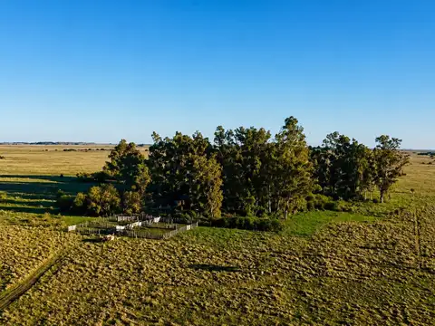 Ruta 36 Km, Magdalena 100