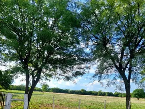 VENTA LOTE PRECIO/TIEMPO LIMITADO