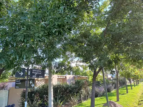 Terreno en Venta de 1000,0 m2