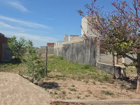 Calle Pública N° 12 MZA 93 LOTE 44
