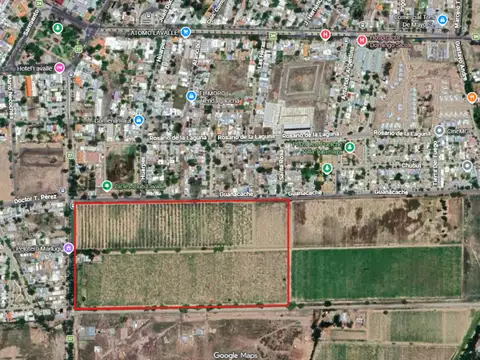 Oportunidad finca de 12 has en centro de lavalle