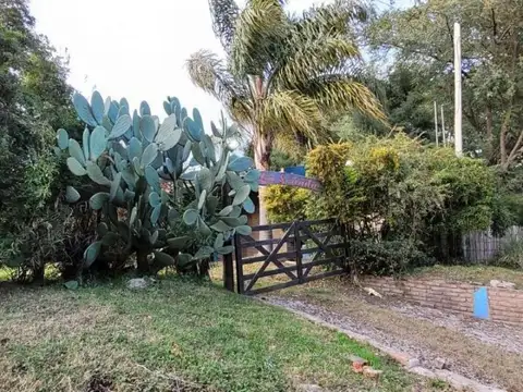 Las Lechuzas 10