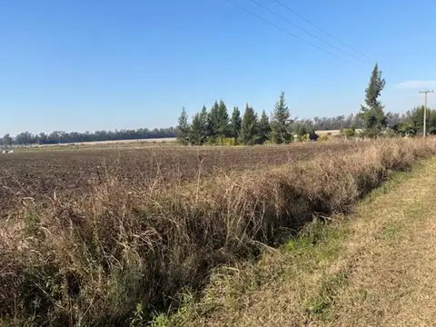 2,5 has divididas en 2 lotes excelente ubicación.