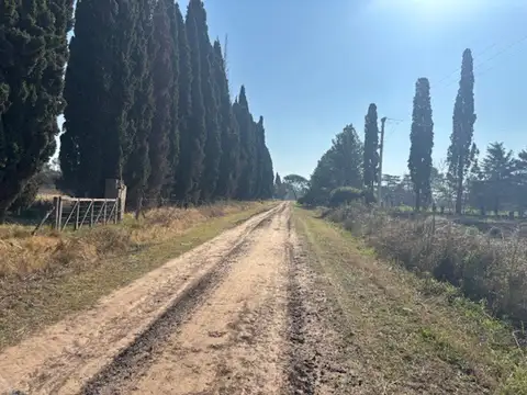 2,5 has divididas en 2 lotes excelente ubicación.