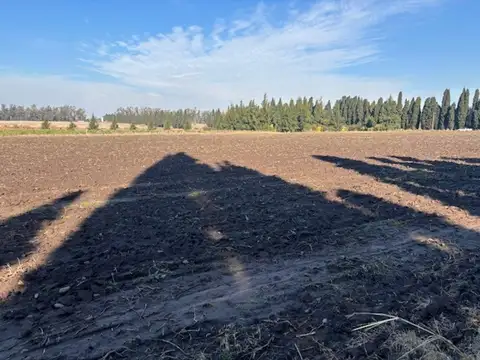 2,5 has divididas en 2 lotes excelente ubicación.