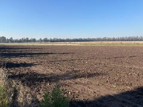 2,5 has divididas en 2 lotes excelente ubicación.