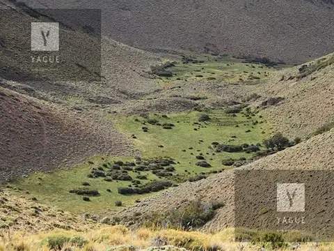 Esquel - Ruta 40 - Productivo, Forestal, Caza y Pesca, Recreativo; a solo 20´del aeropuerto.
